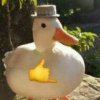 Jebah profile
