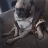 Chamisxd profile
