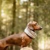 TheCrazyDrago profile