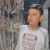 Alan profile