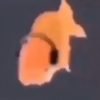 Zyphar profile