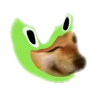 Aimnotleo profile