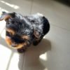 Caldito profile