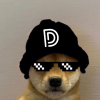 Darki profile